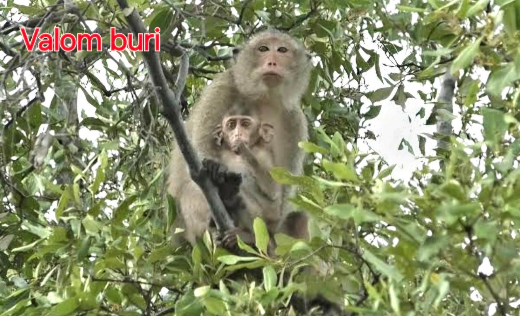 Lanta Valom Buri Villa Ko Lanta Kültér fotó